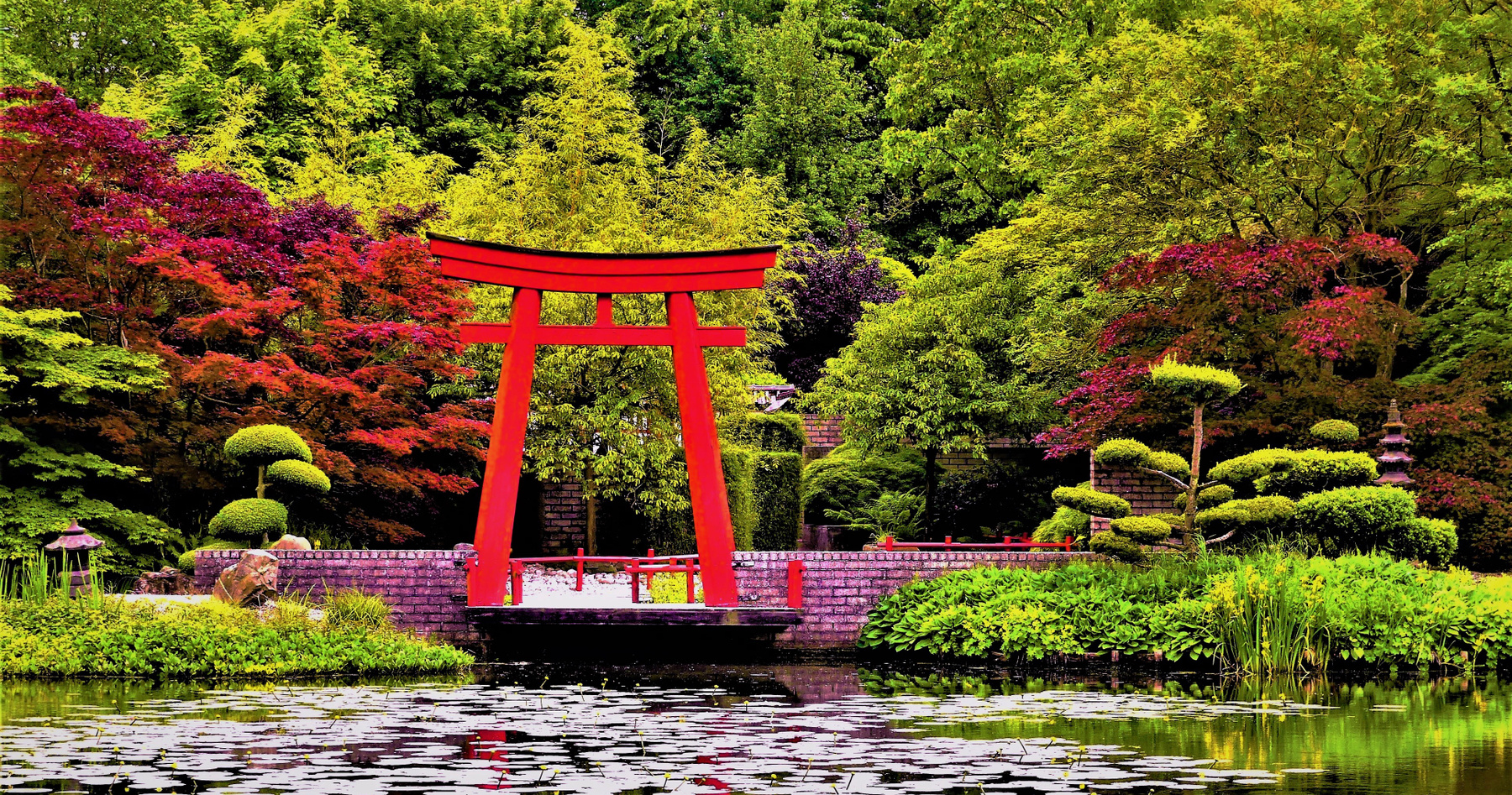 Очарование природы Путешествия природа японский сад