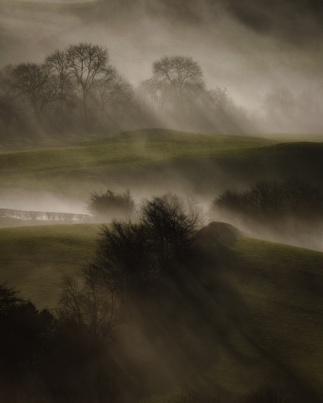 ...туманная ритмичность... ireland nature outdoors countryside landscape fog mist hazy mood moody rhythm morning dawn from above aerial rural trees light shades shadows europe picturesque awe