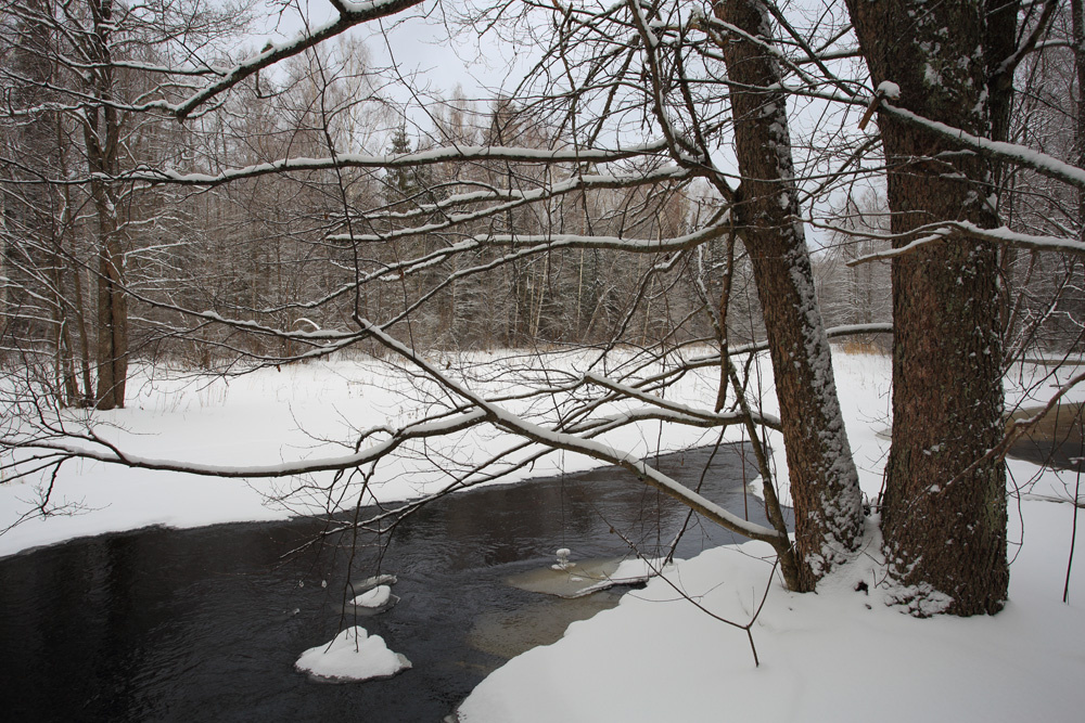 Река зимой 