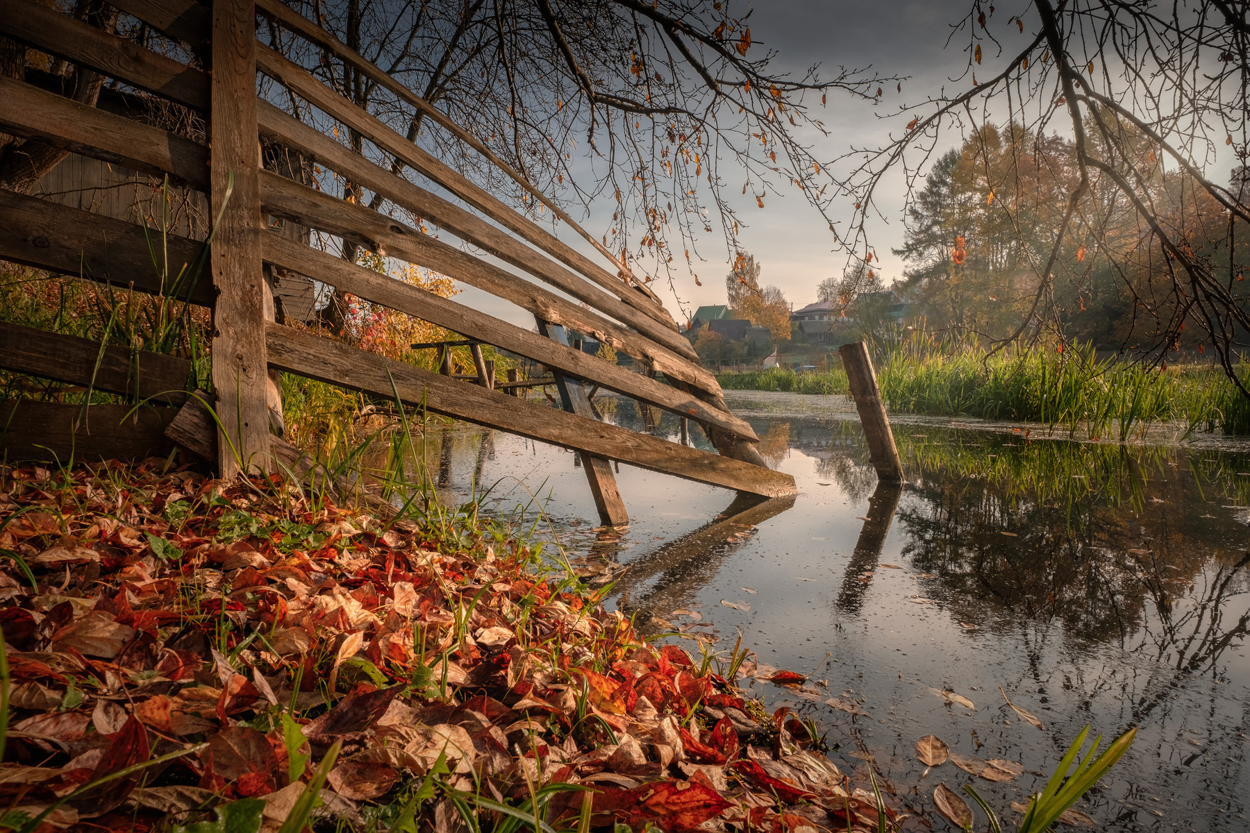 За утлыми лавами плес шохонка река забор утро отражения осень пейзаж