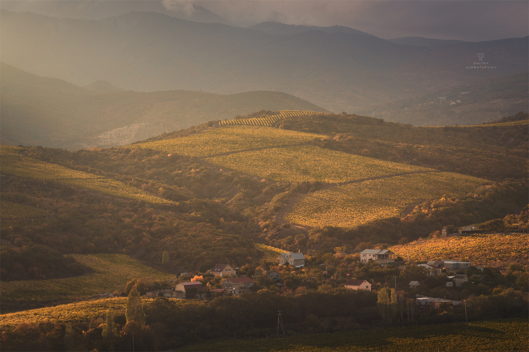 Виноградная долина крым осень пейзаж виноградники