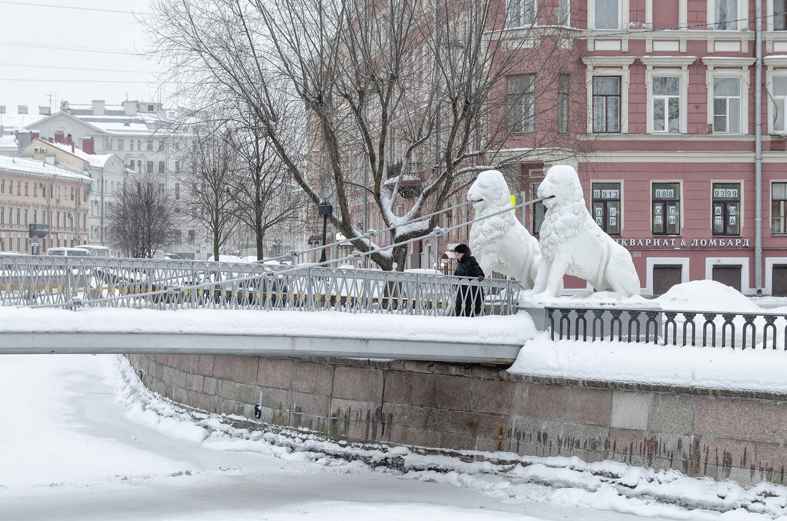 Зима в Питере. Львиный мостик. петербург зима мороз утро канал грибоедова мост львиный снег