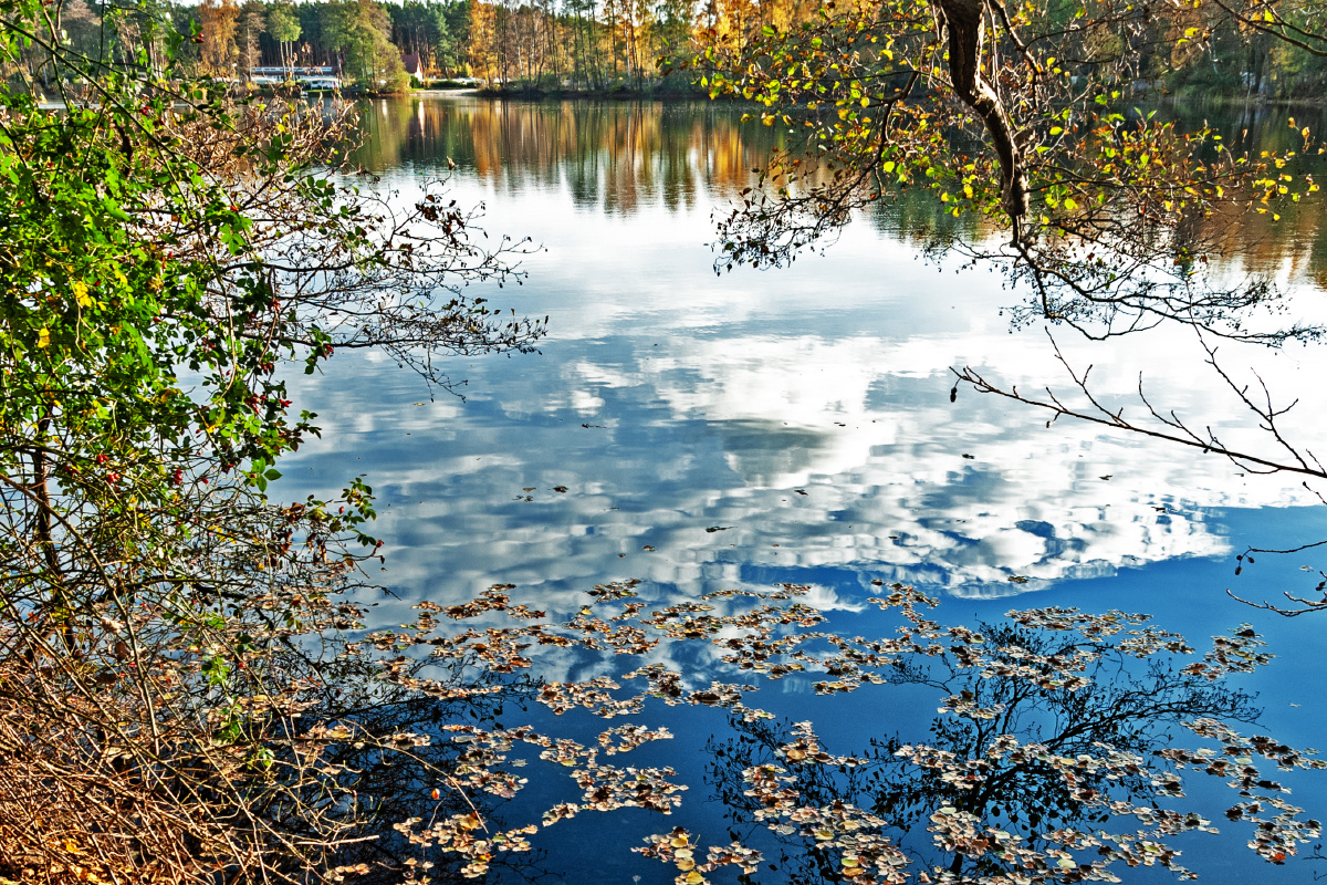 Отражение осени Осень озеро отражение