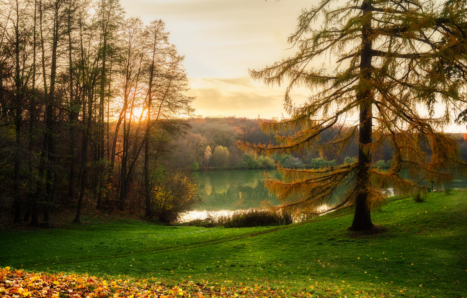 Осень в сердце пейзаж осень озеро лес