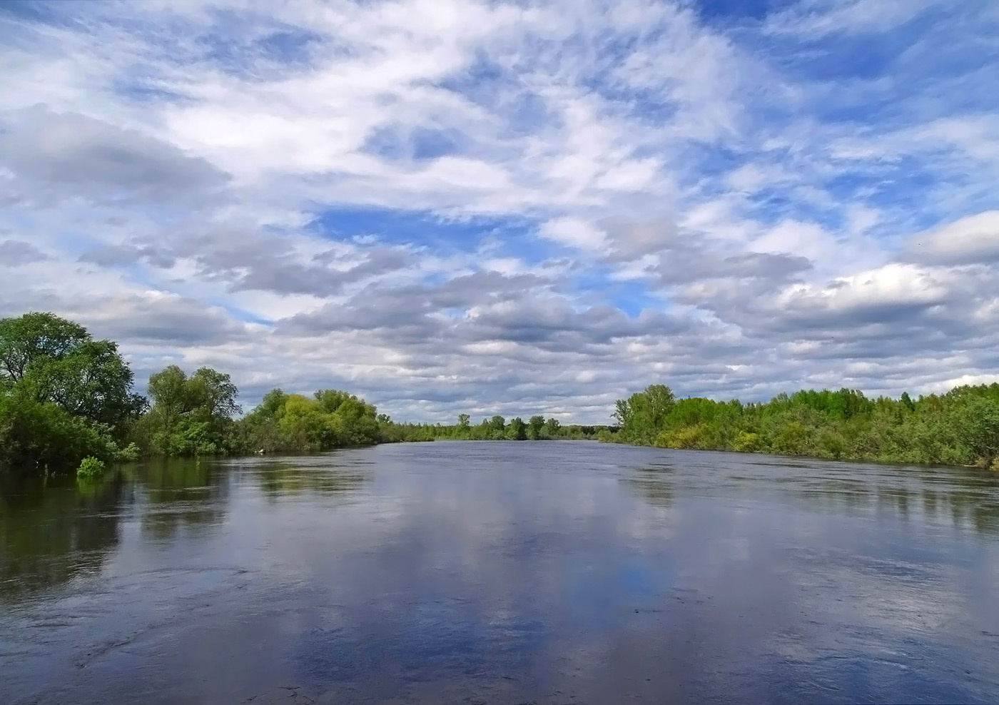 Полноводная река Сибирь лето природа пейзаж река