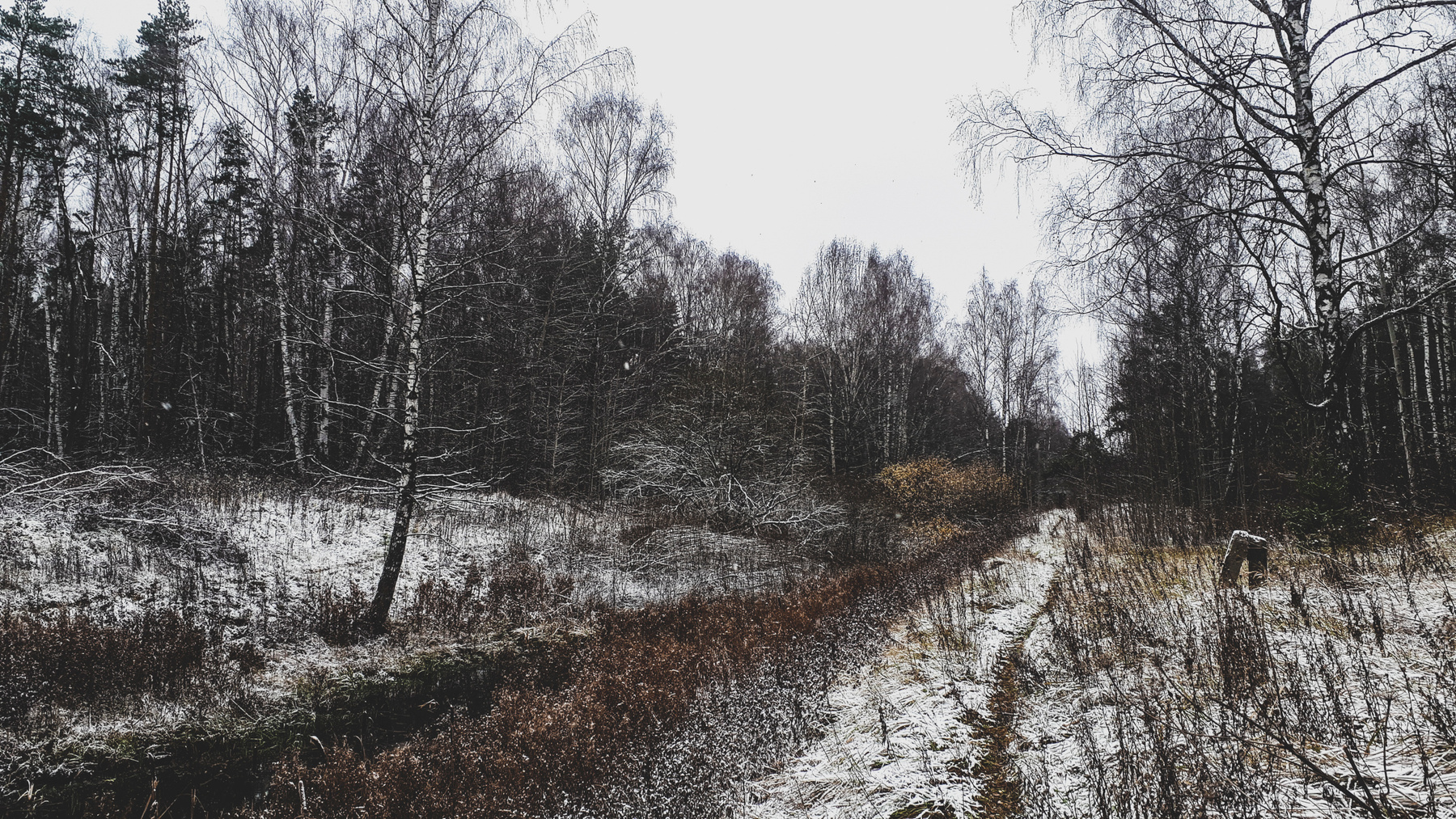 *** балашиха лес снег осень