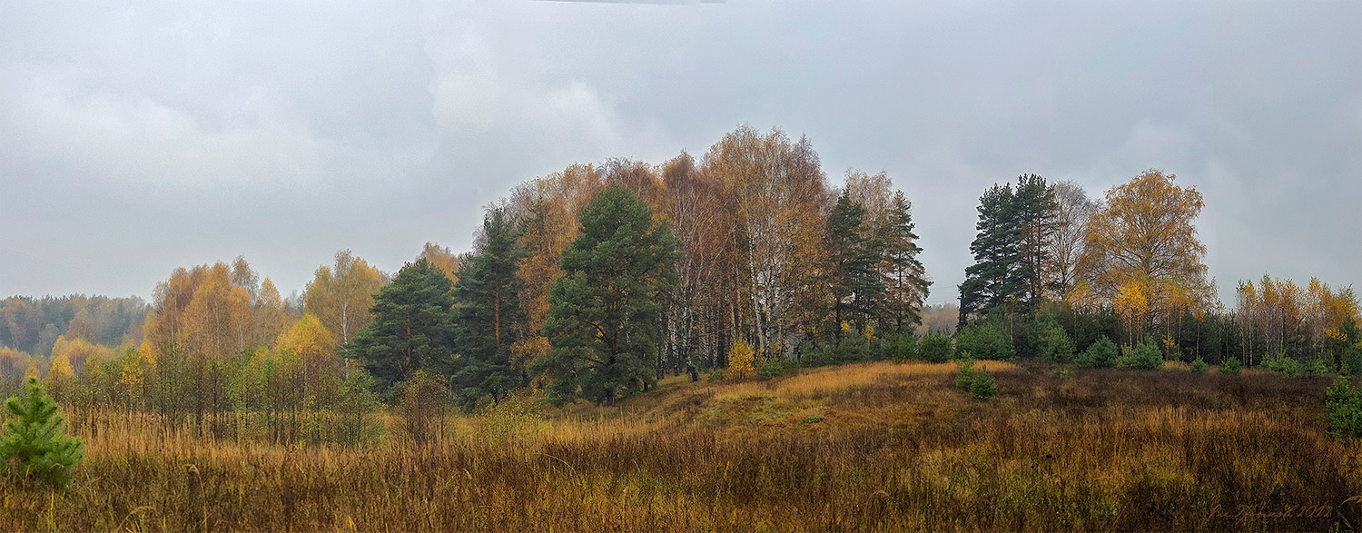 Осенние перелески панорама пейзаж осень