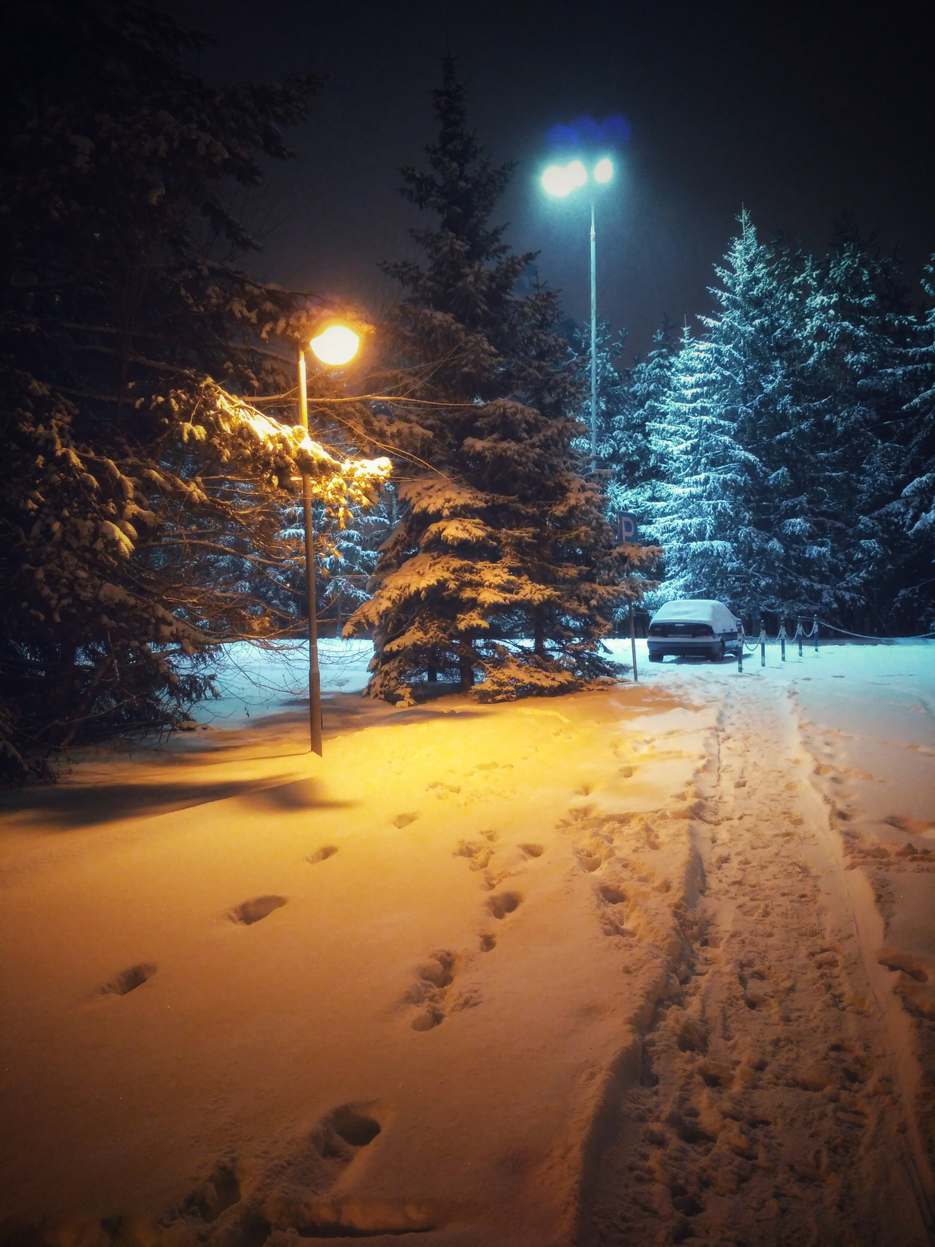 Вечерняя прогулка вечер прогулки зима снег