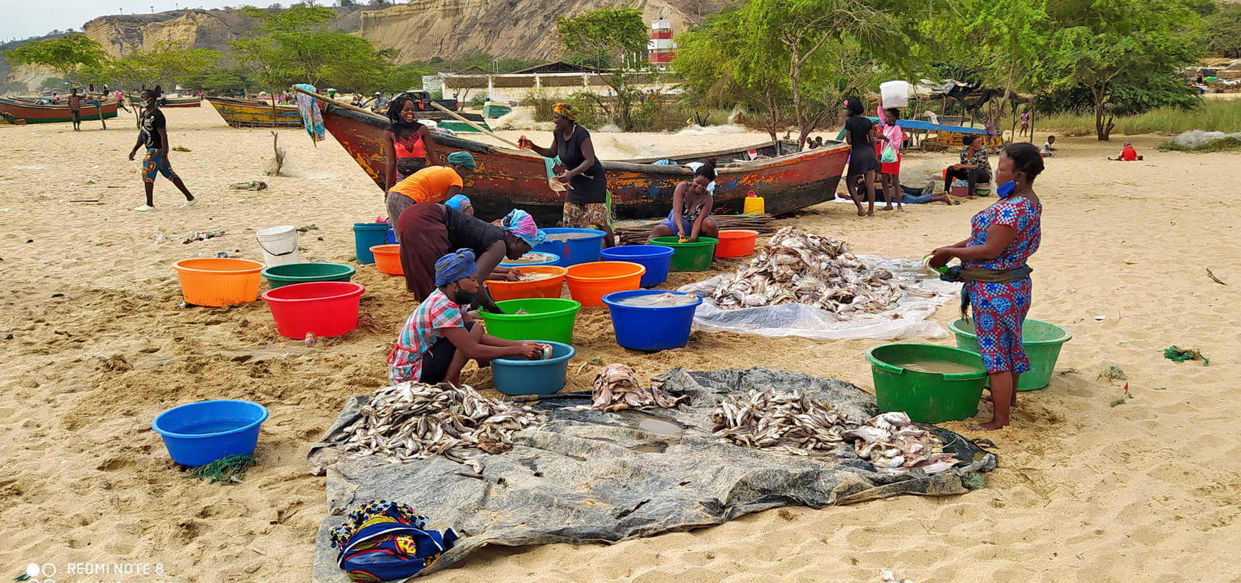 "фабрика" по переработке рыбы Африка африканцы рыба