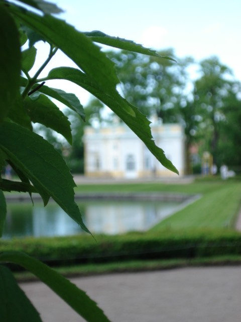 Царское село 