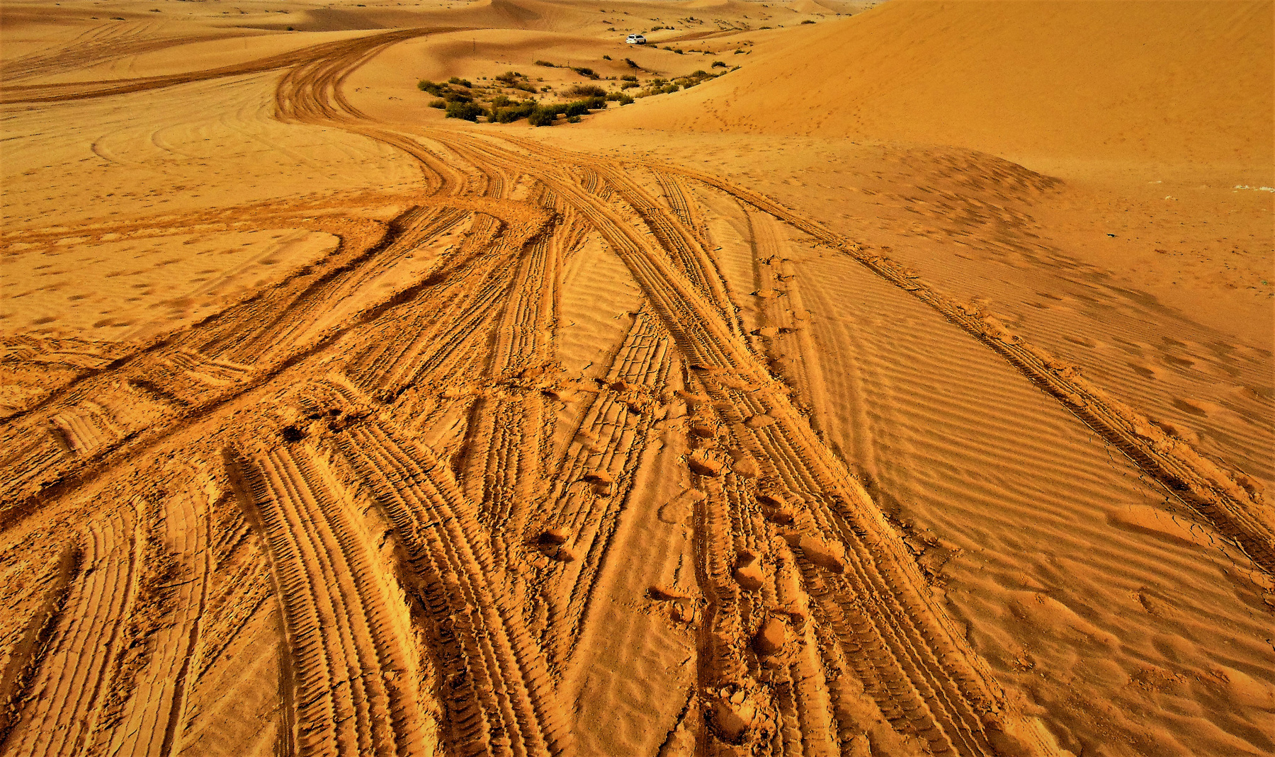 Рисунки Пустыни Пустыня Джип- Сафари следы от виражей
