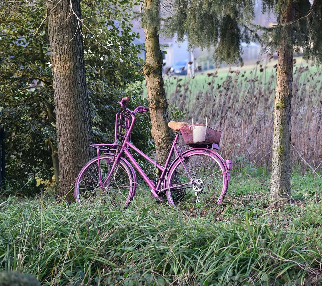 Лиловый велосипед.*** Лиловый велосипед лес