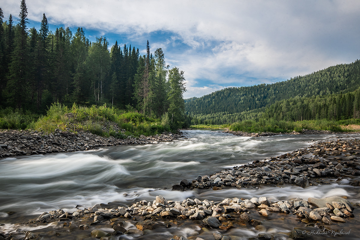 Поток реки. лето река тайга природа
