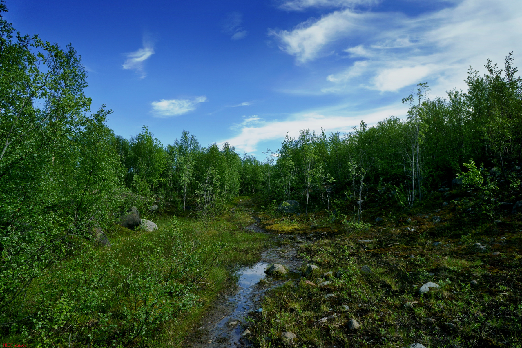 Фотография Природа Заполярья...Мурманск из раздела пейзаж #6303542 -  фото.сайт - sight.photo