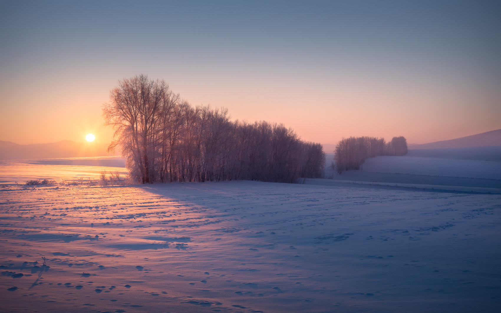 Мягкие линии алтайских предгорий алтай алтайский край предгорья рассвет утренний свет мороз январь зима зимний пейзаж поле лесополоса солнце восход