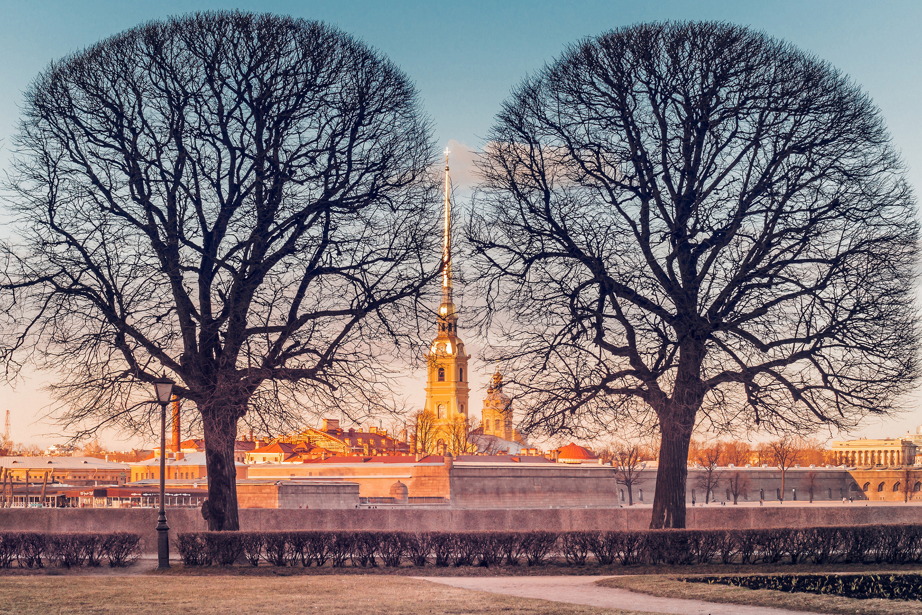 Два весенних дерева Санкт-Петербург вечер река деревья храм шпиль