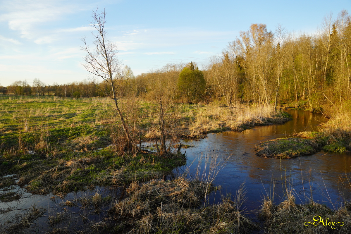 Речка Кершевка речка природа пейзаж весна разлив