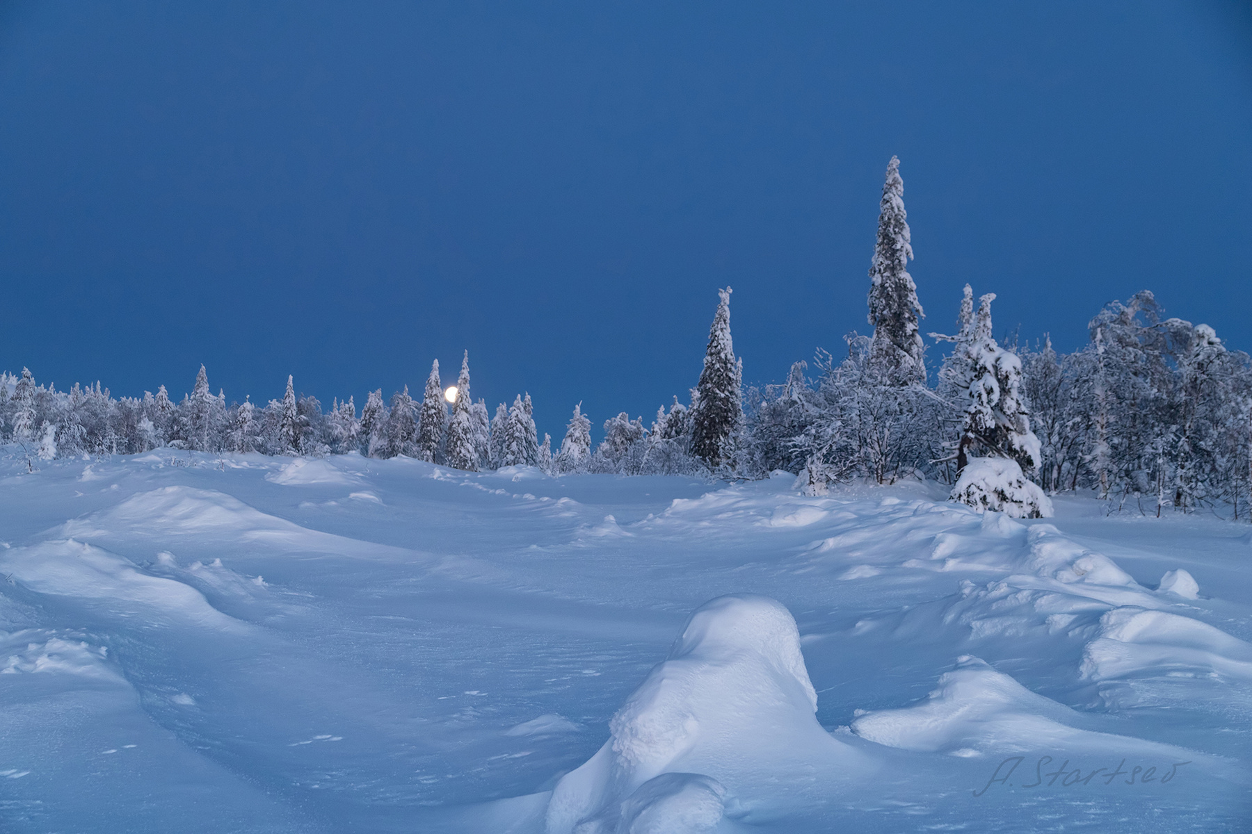 Луна над зимним лесом утро Урал туризм снег природа Пермский_край пейзаж луна лес зима деревья