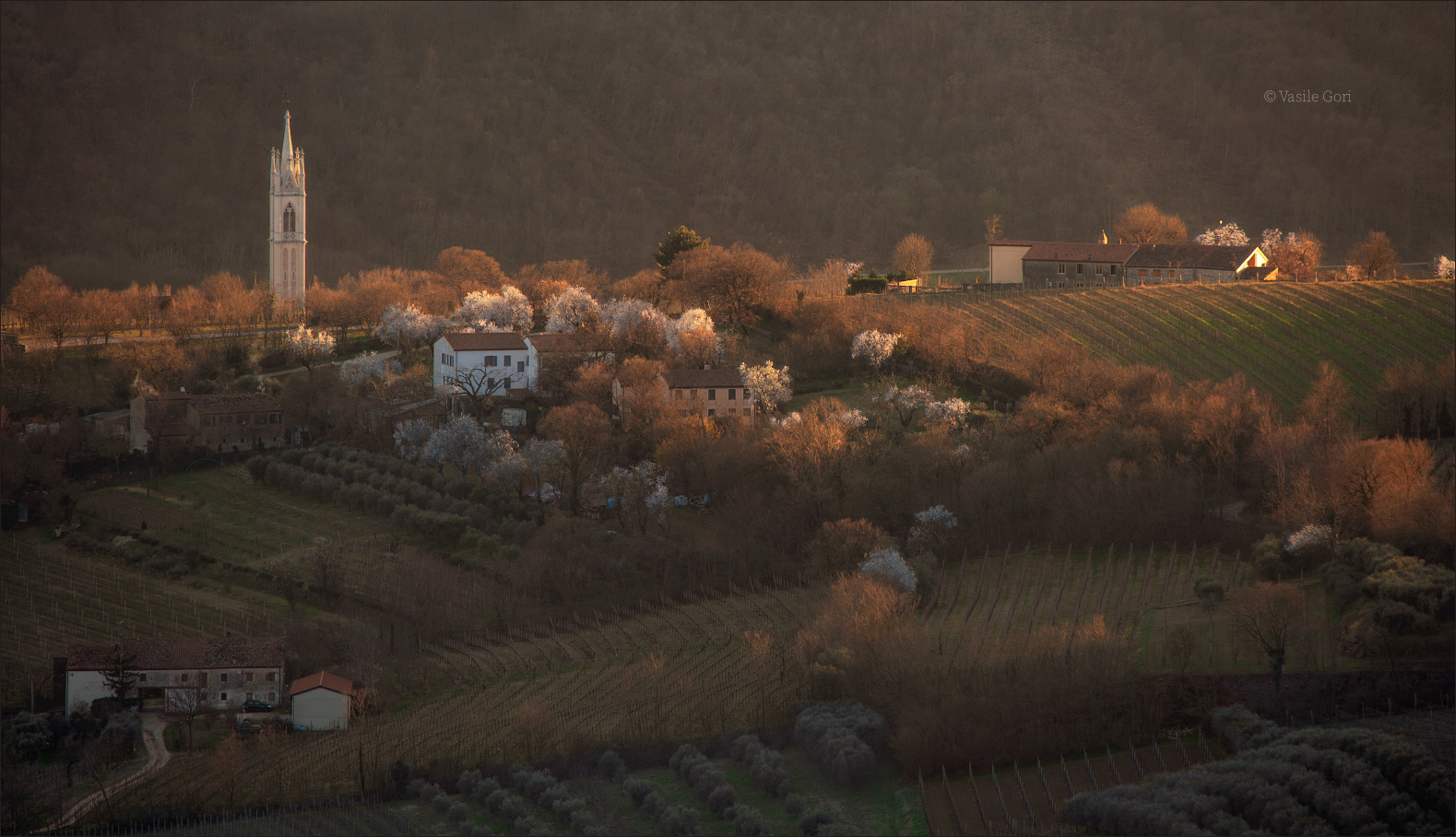 "Пришла весна" италия монастырь фелтре утро эвганские холмы