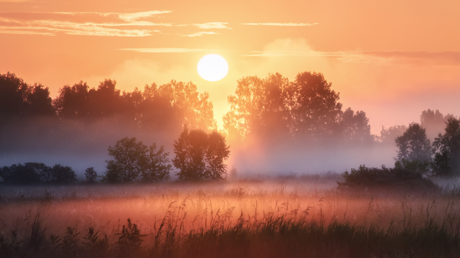 Солнечный этюд рассвет восход солнца туман поле лето новосибирская область