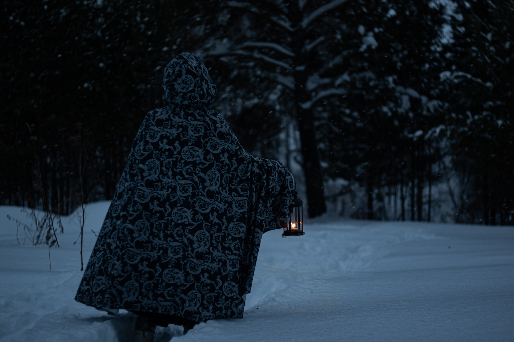 Бредущая в сумерках лес зима сумерки снег девушка фонарь