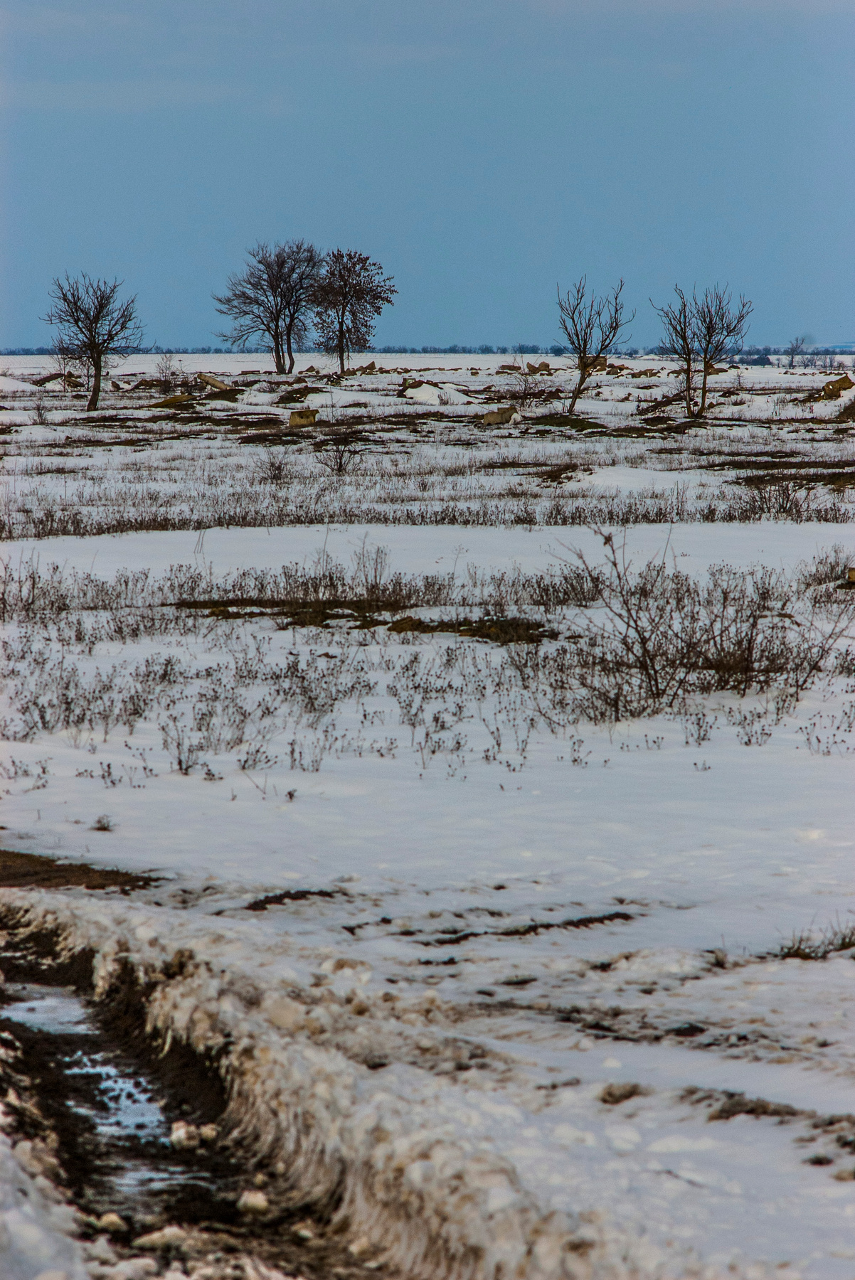 зимнее поле поле зима снег
