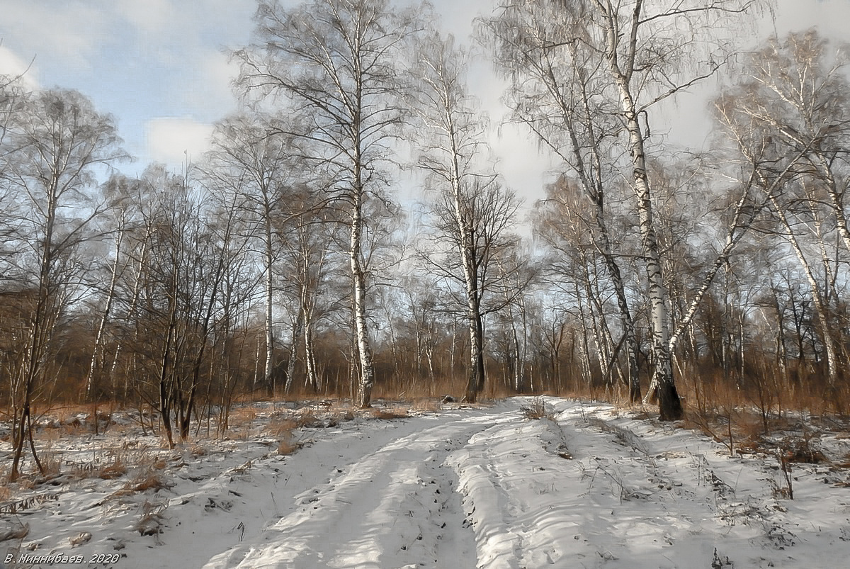Скоро зима! пейзаж природа осень лес снег дорога берёзы