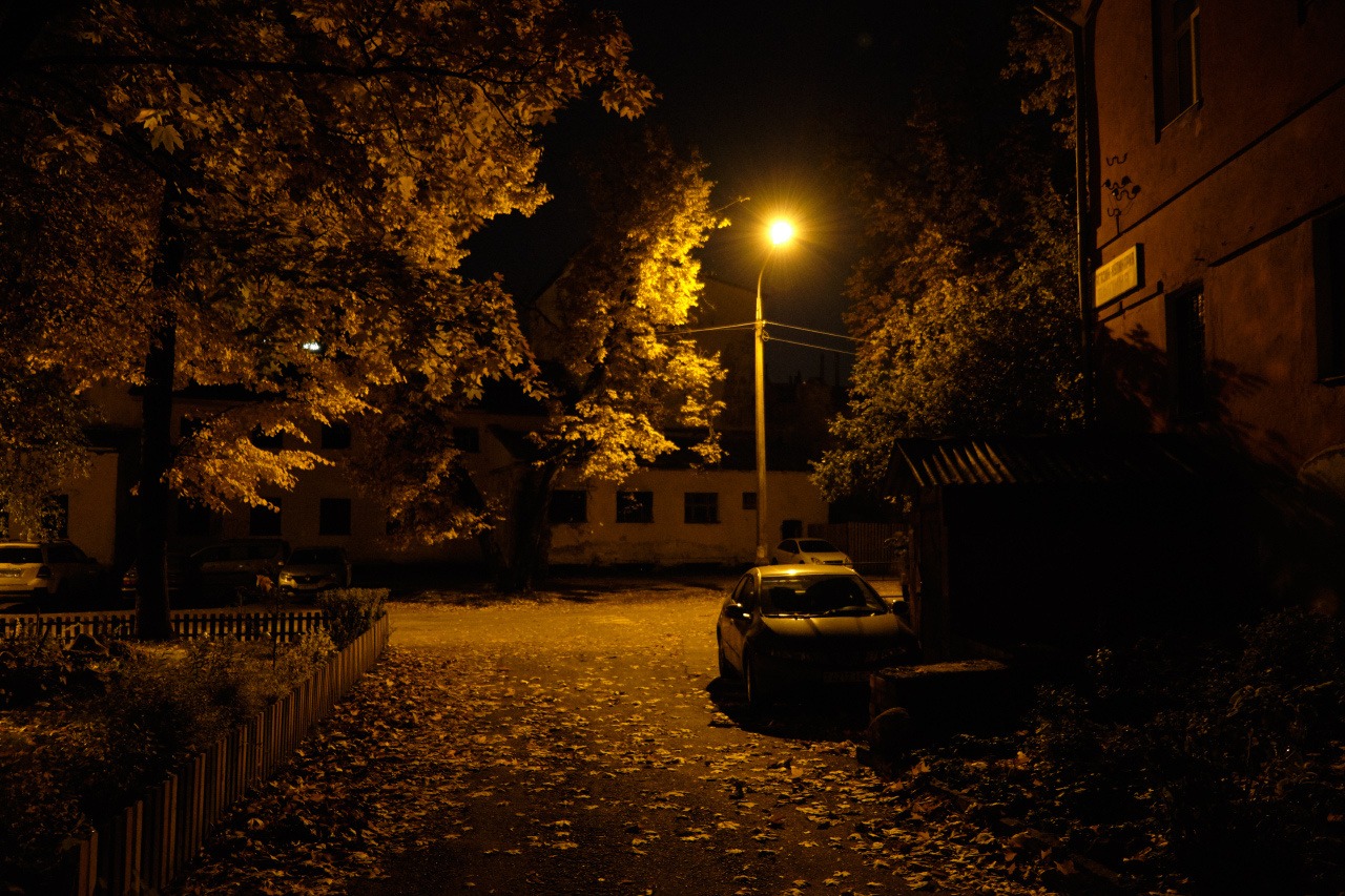 Осенний вечер в городе 2 осень вечер фонарь деревья улица автомобили здания