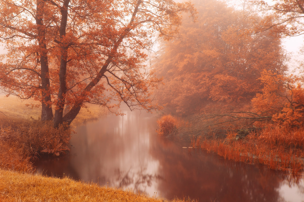 Скоро осень золотая Беларусь Осень Река Утро Туман Сула