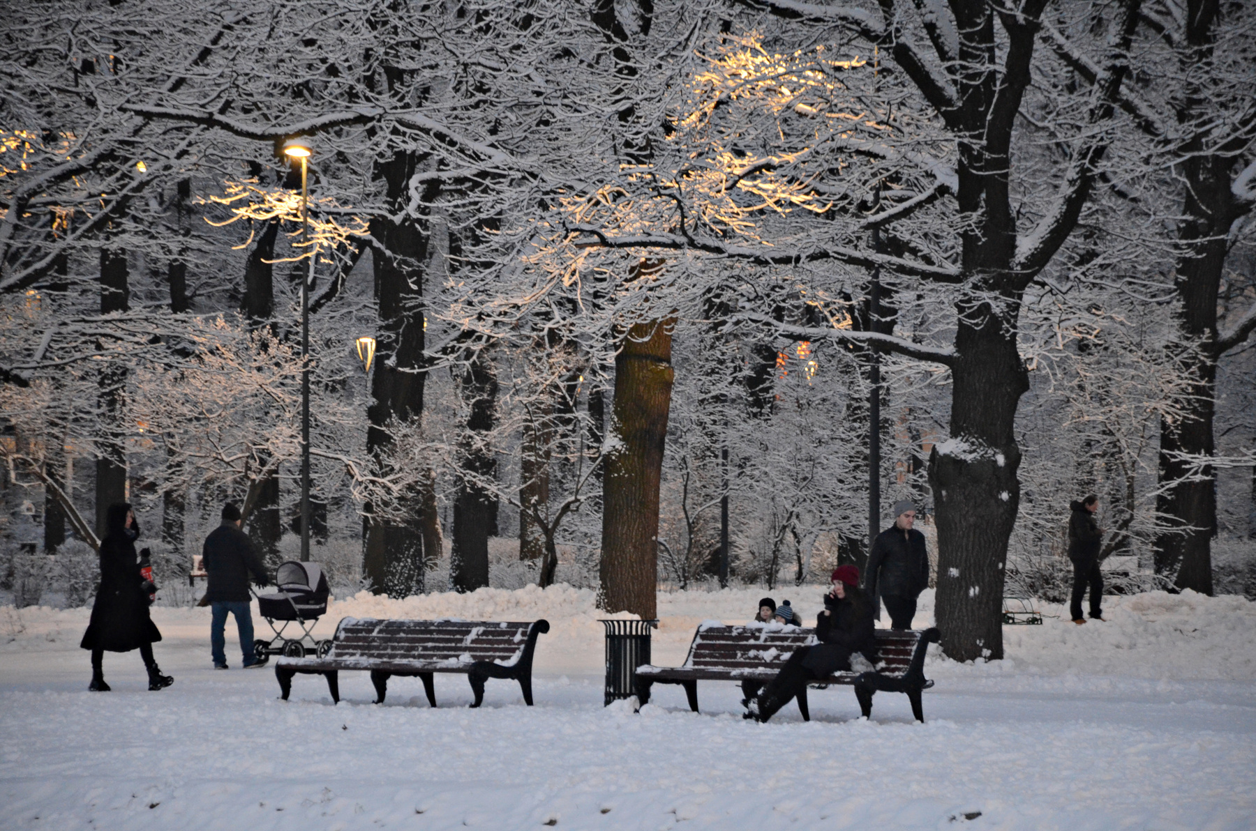 В парке. Москва зима январь парк дубки свет тени снег деревья люди