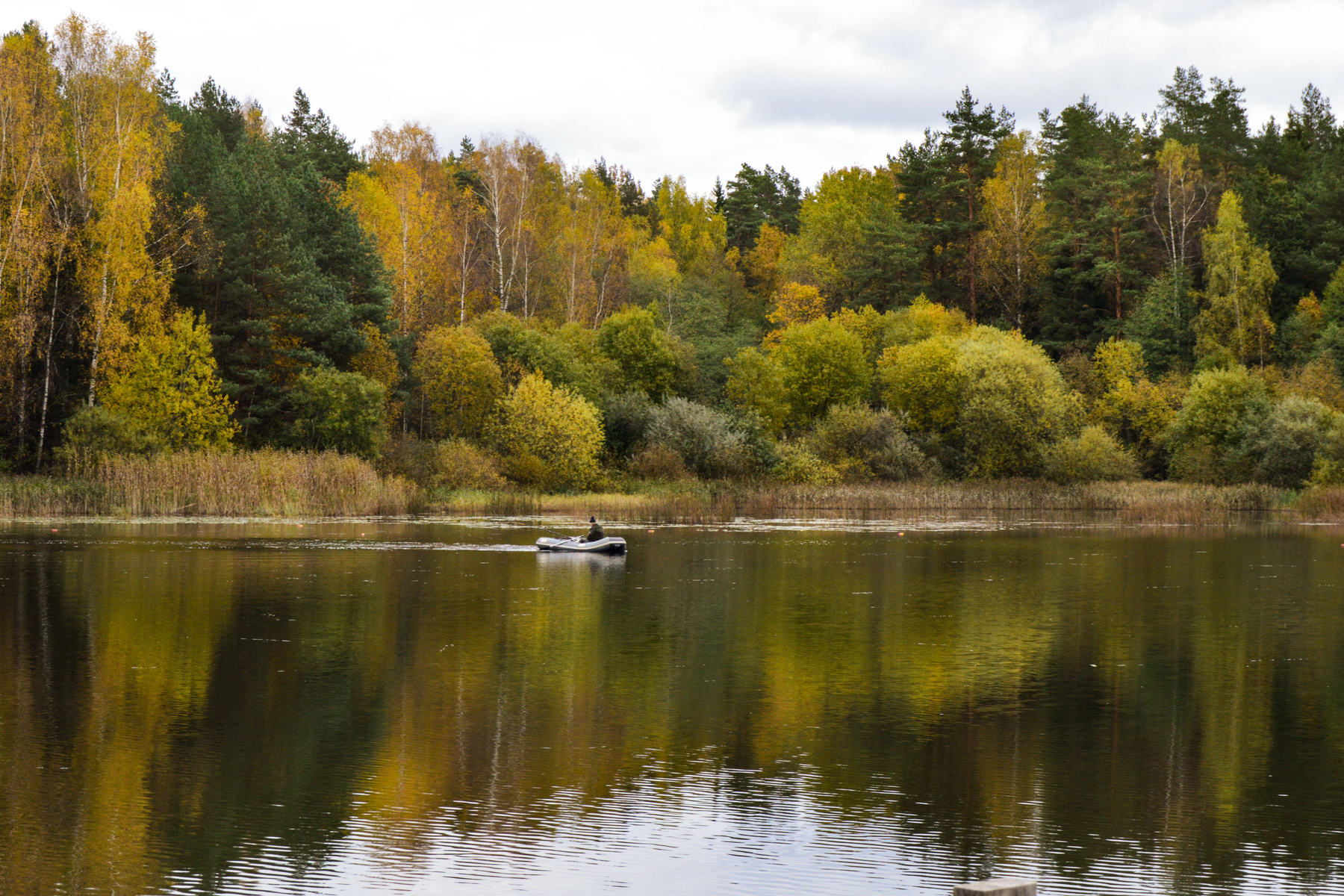 В тихой заводи осень рыбак озеро лес Пушкиногорье рыбалка