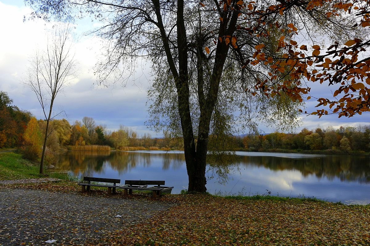 У озера Осень озеро скамейки