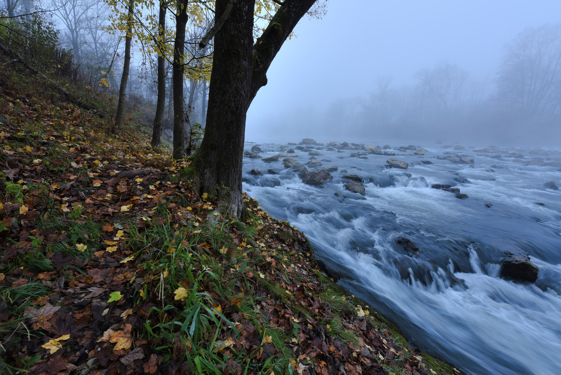 На крутом берегу утро река перекат туман осень