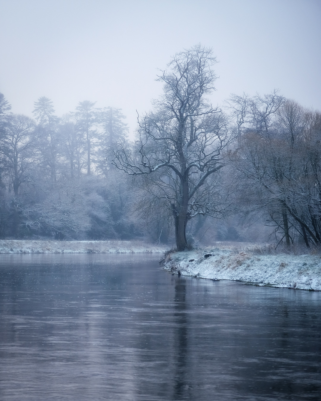 ...white serenity... ireland winter landscape nature outdoors countryside boyne meath river valley serenity calm haze mist misty mood moody tree lonely bend scenic picturesque awe europe cold snow freeze frost season