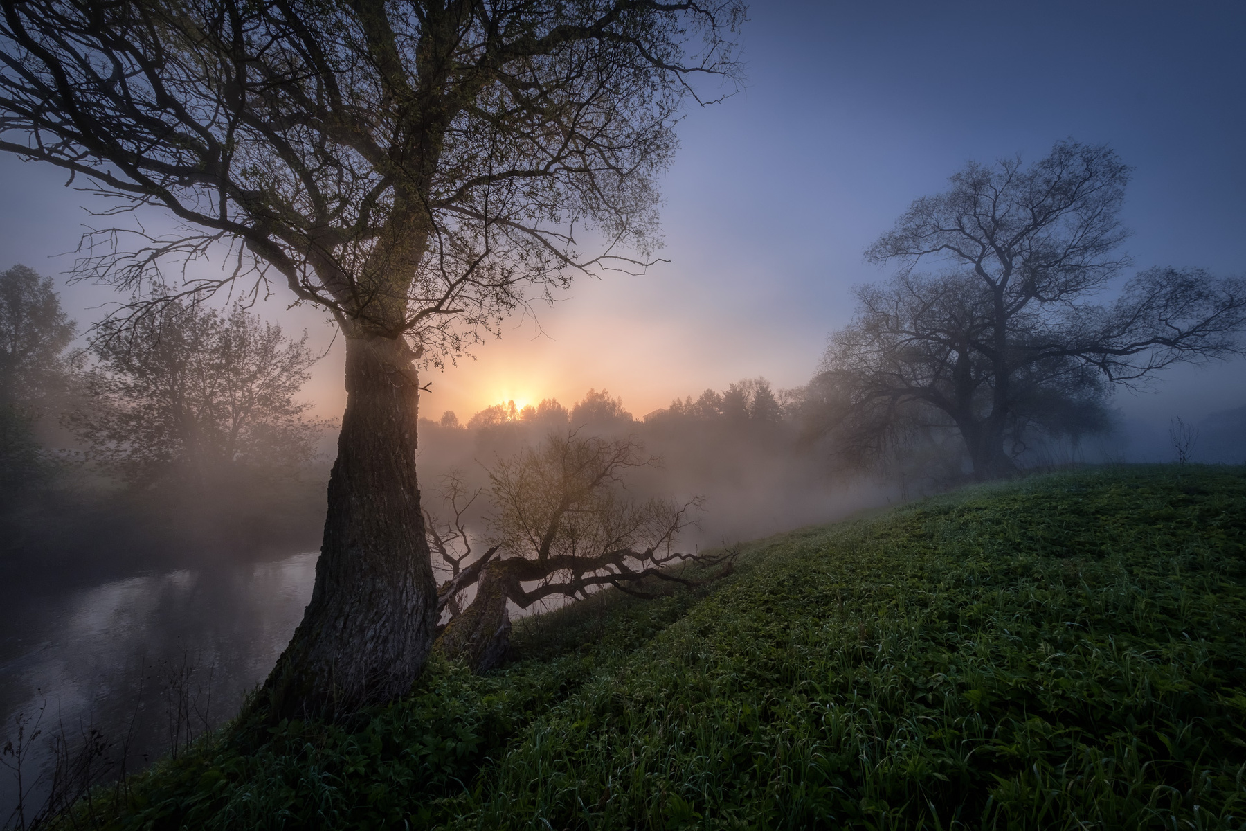 Наедине с великанами истра река пейзаж рассвет туман небо деревья утро тишина