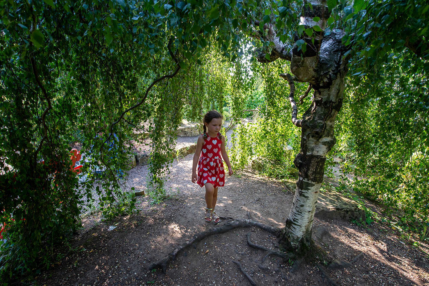 Девочка и дерево... Лондон Риджентс-Парк август
