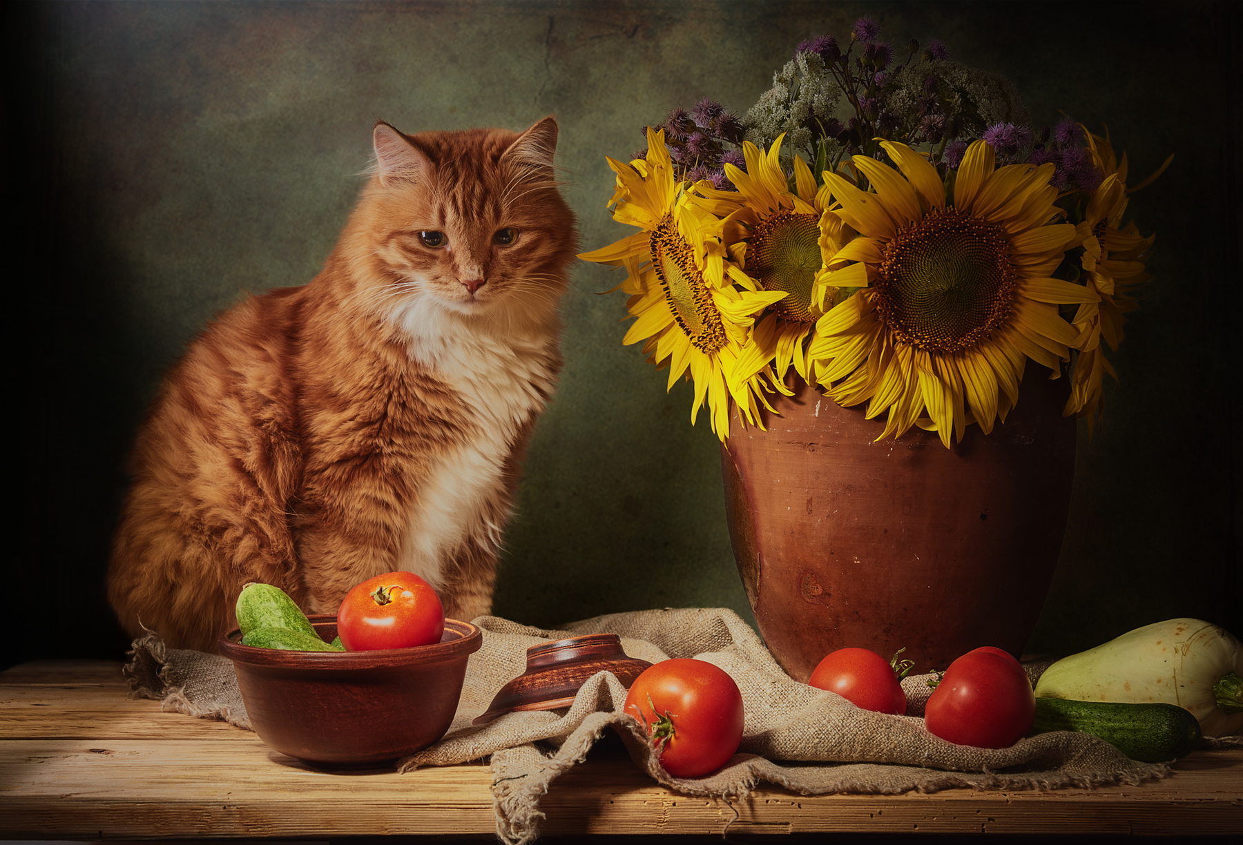 Рыжий кот и подсолнухи. натюрморт постановка композиция сцена кот питомец любимец рыжий подсолнухи