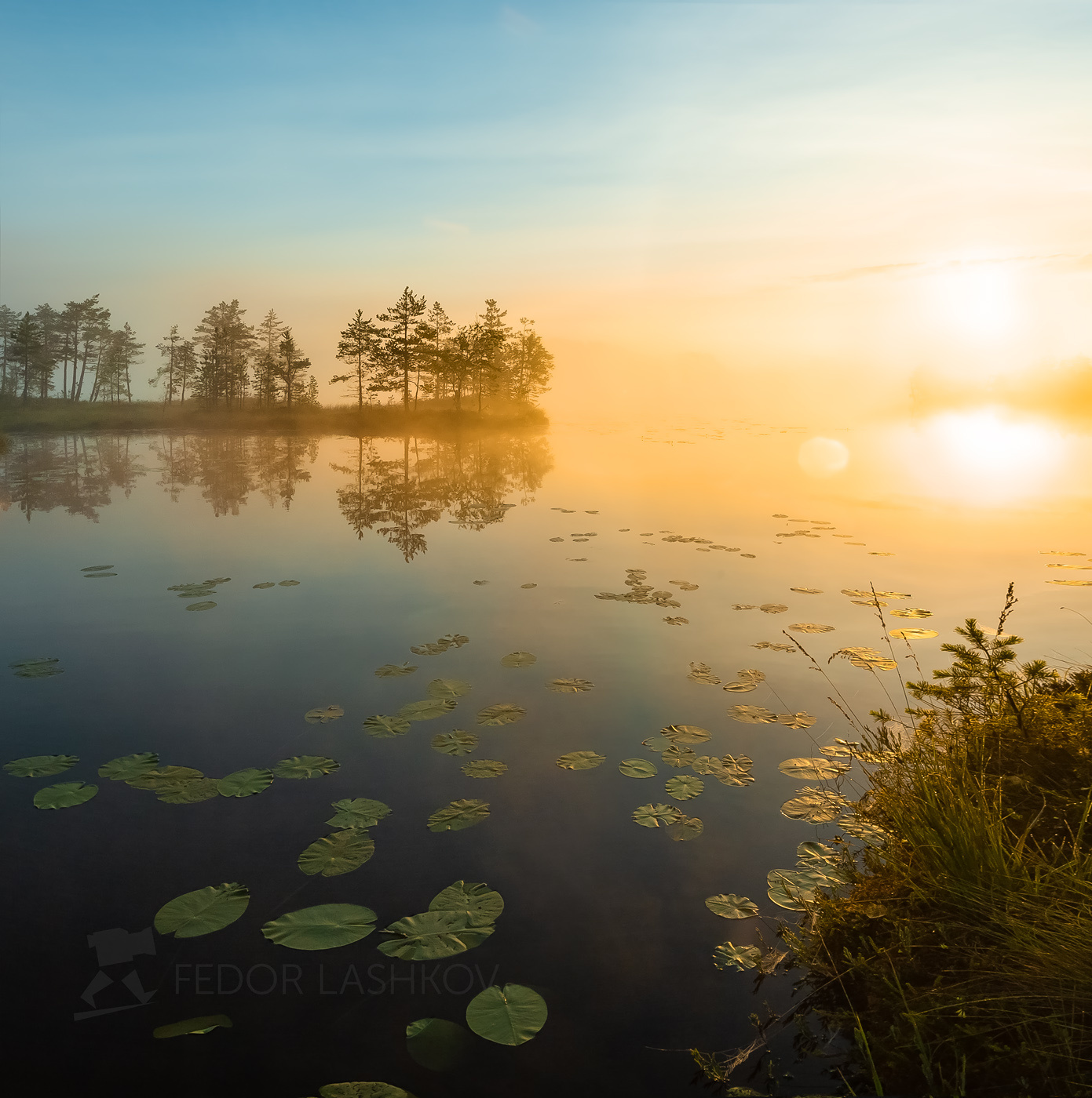 Встречая рассвет Ленинградская область рассвет лето август тепло сосна озеро солнце туман отражение деревья берег оранжевый жёлтый листья кувшинки
