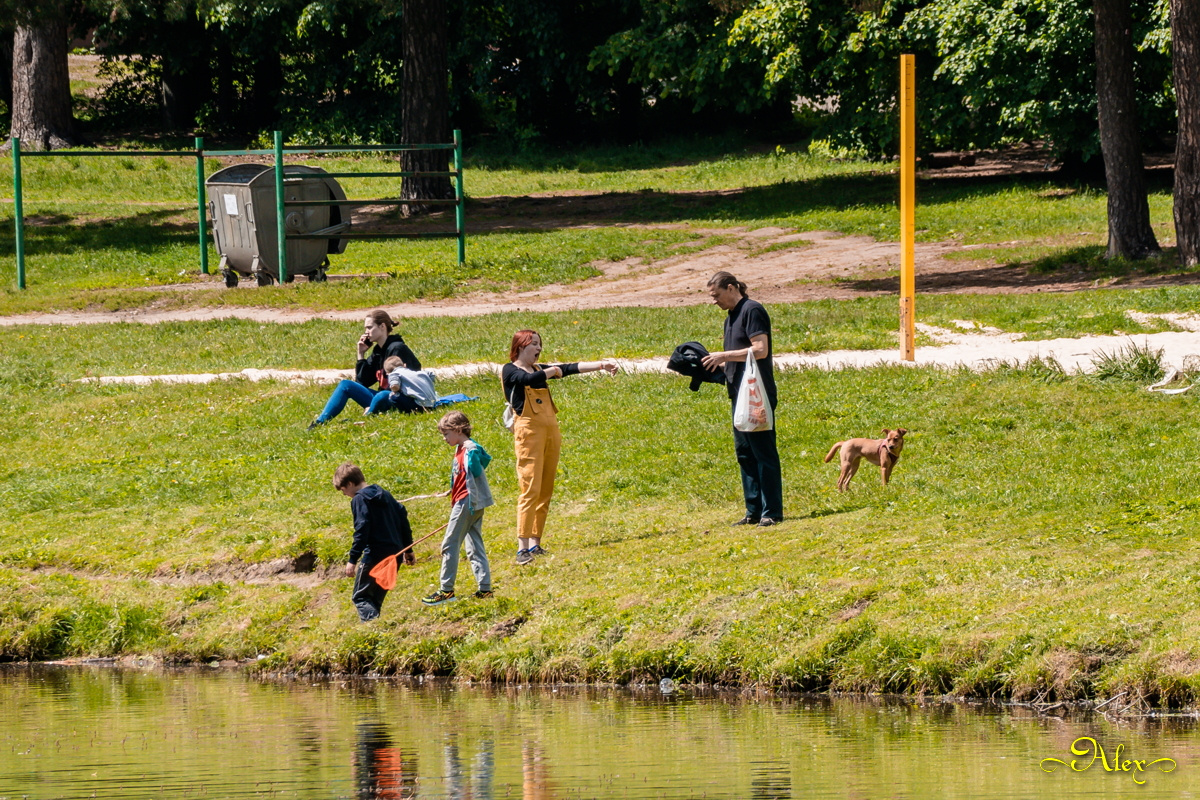 Вот и лето парк Кузьминки Шибаевский пруд лето люди