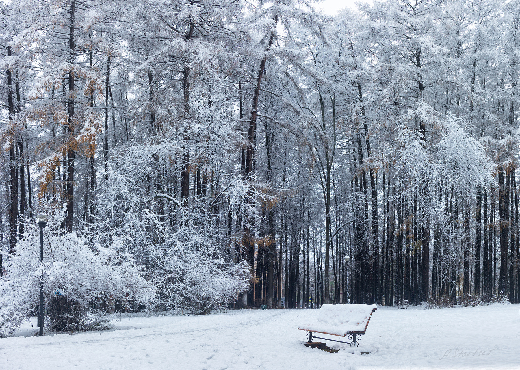 Зима в парке зима иней снег парк пейзаж природа Пермский_край Лысьва скамейка