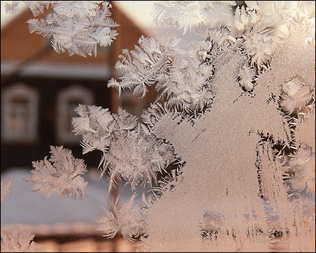 Рисует мороз иней узоры окно зима