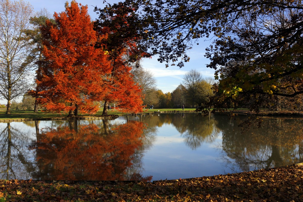 Осенние краски ноября Озеро осень отражение