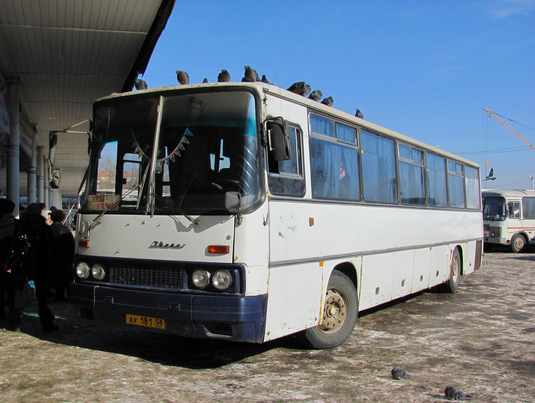 "Голубиные" проводы Автовокзал Пенза автобус Икарус пассажиры голуби