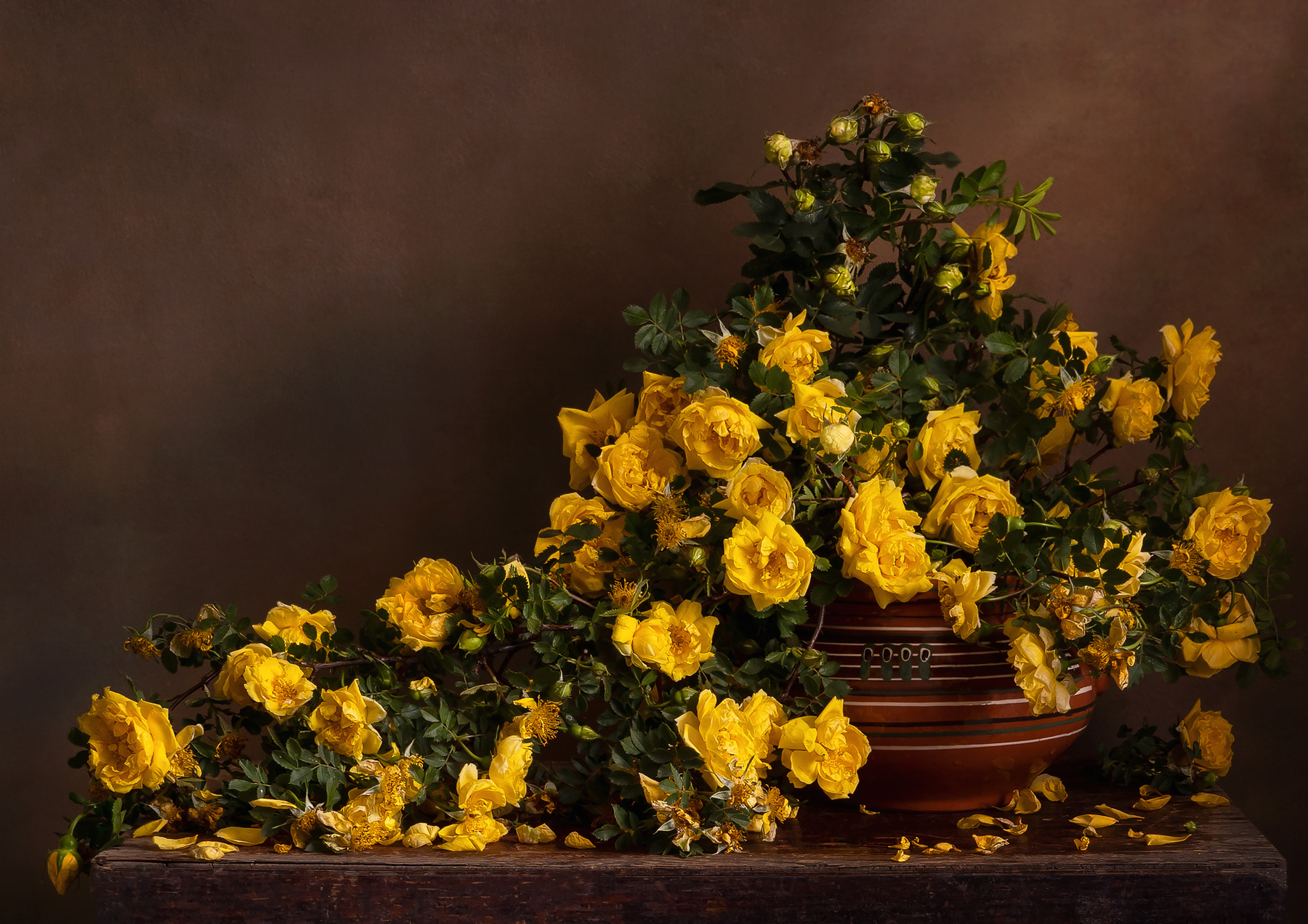 С жёлтым шиповником. жёлтые цветы шиповник букет охапка цветов яркие тона летний натюрморт дачный