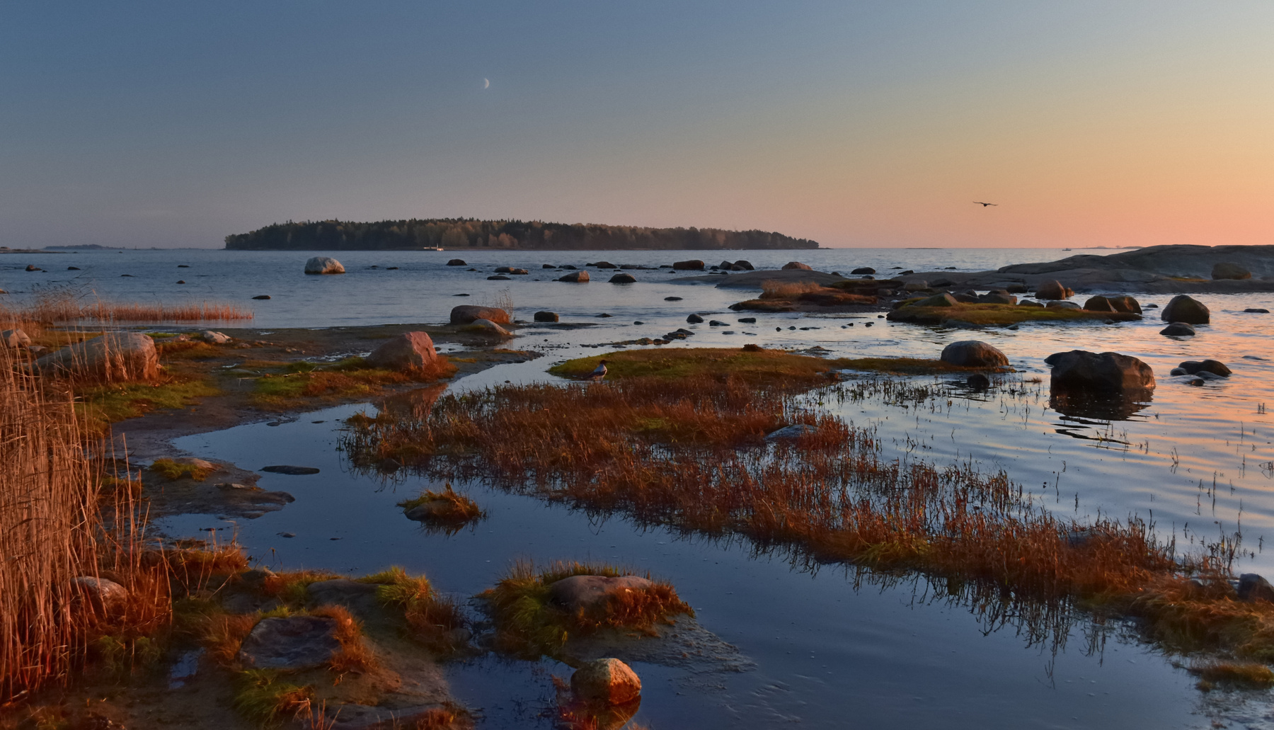 Прогулки на закате (2) закат октябрь камни вороны Финский_залив autumn Finland