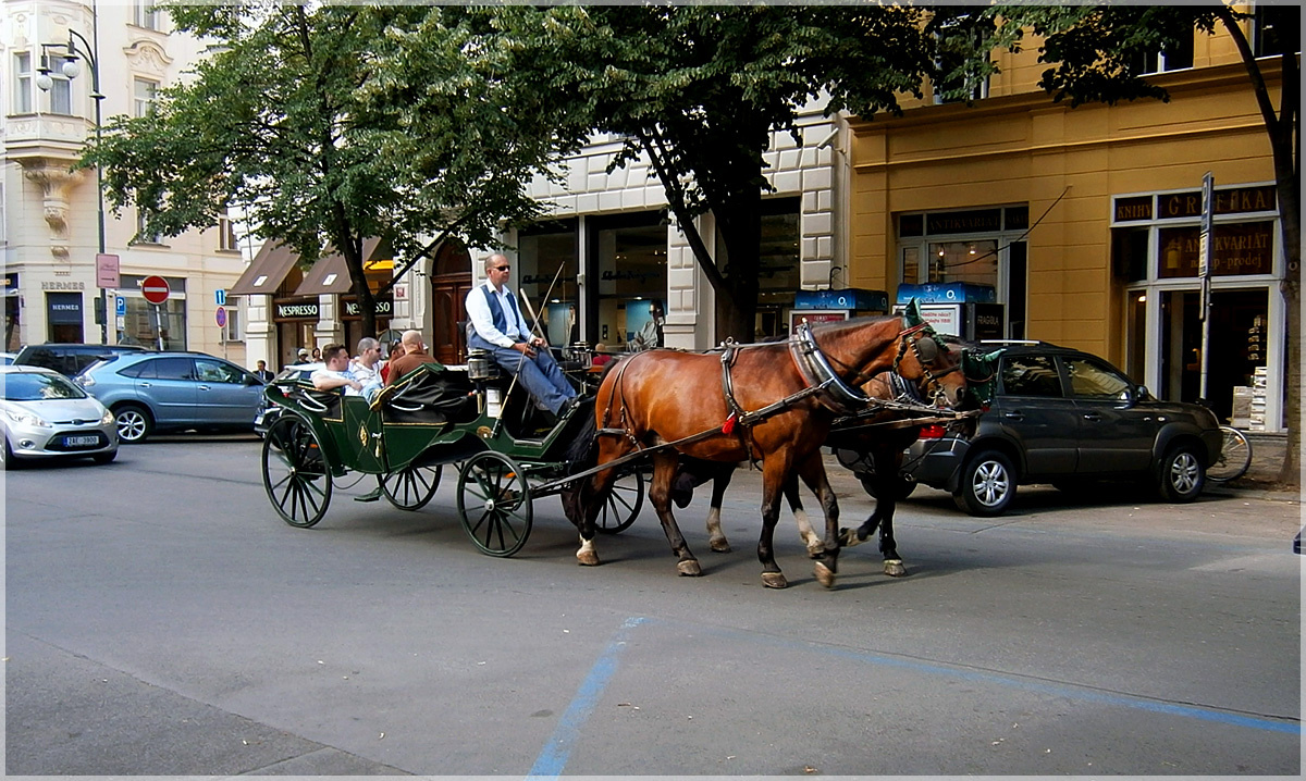 По Праге под перестук копыт Чехия Прага лошади карета лето