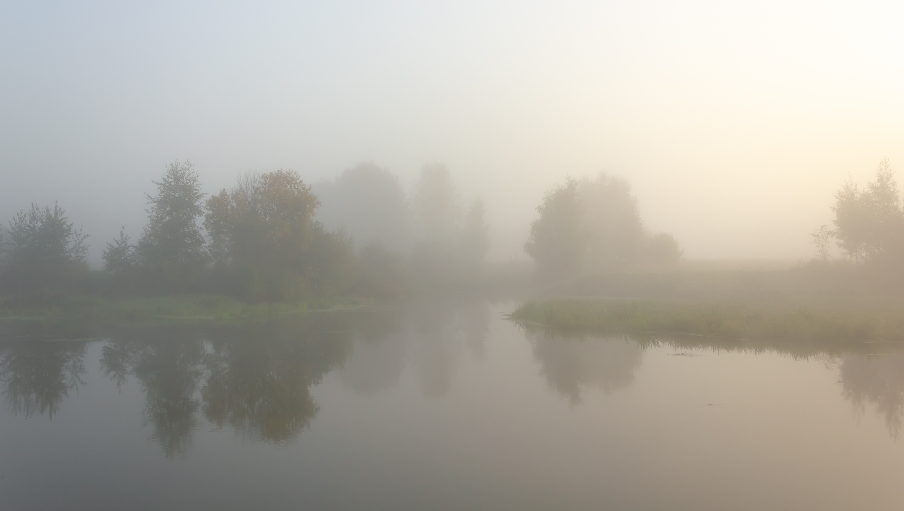 В молоке туман утро река рассвет