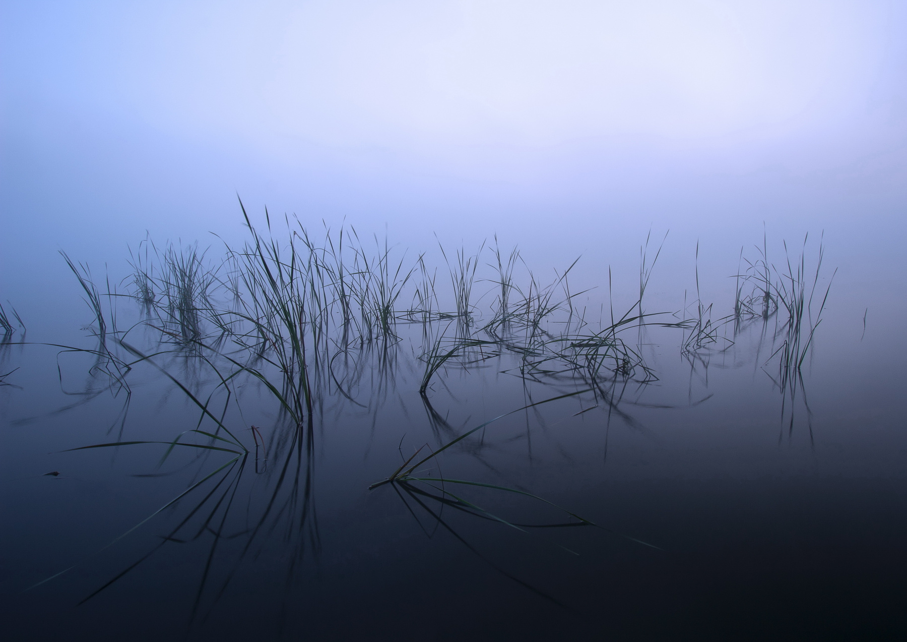Погруженные в туман... природа утро отражение берег восход