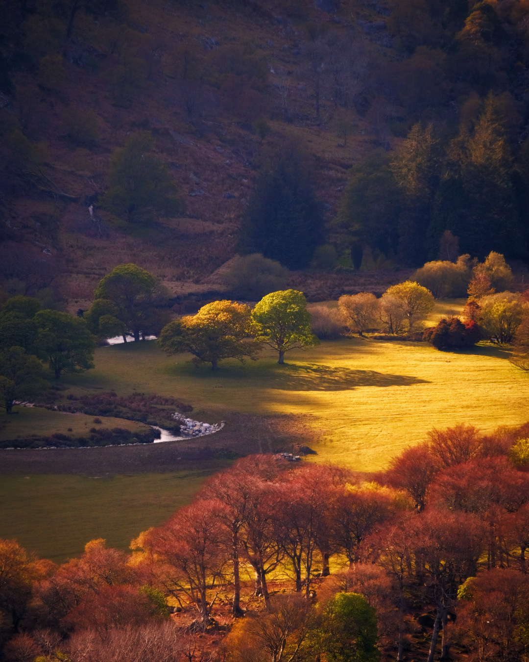 ...sunny meadows... ireland nature outdoors landscape countryside meadows fields river bend from above sun evening dusk sunset trees slopes hills wicklow moountains luggala guiness lake europe picturesque awe spectacular shades shadows tones titnts