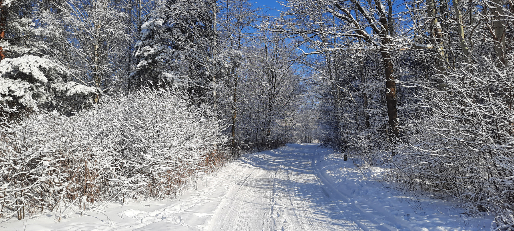 Дорога зимой Дорога зимa